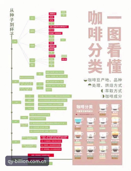 2025球友会APP安装全流程深度解析：从下载到升级的实用指南